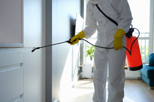 Best Toxic Mold Removal  in Lmdale, PA